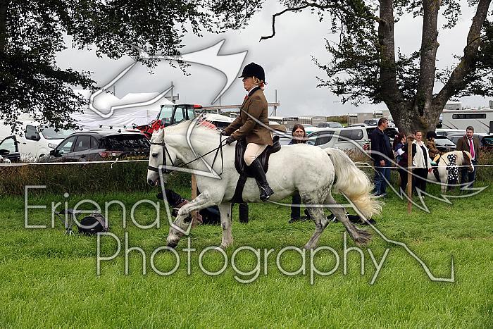 Carnwath2025Ring2106