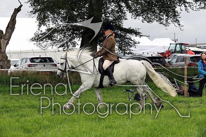 Carnwath2025Ring2107
