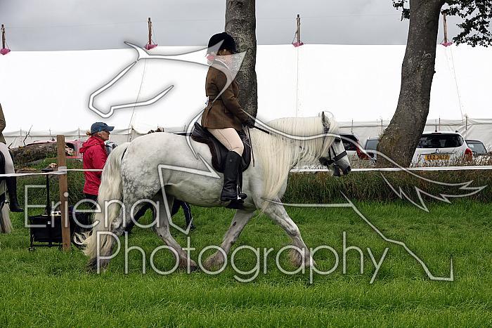 Carnwath2025Ring2114