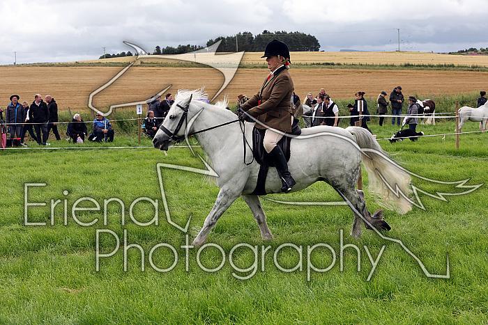 Carnwath2025Ring2117