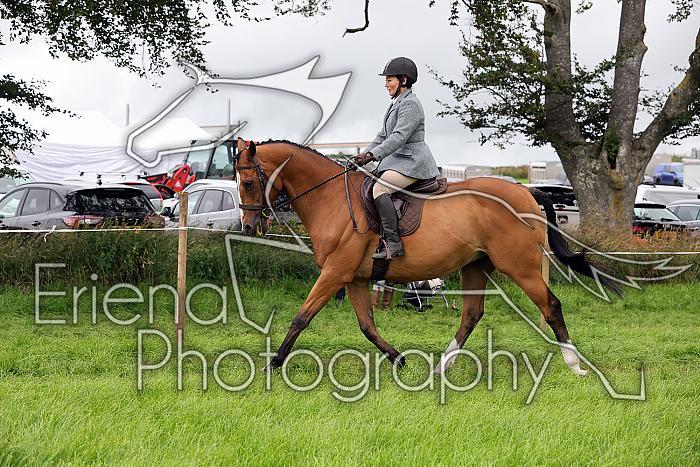 Carnwath2025Ring2172
