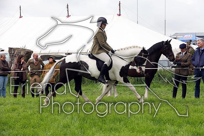 Carnwath2025Ring2176