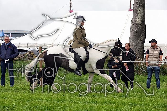 Carnwath2025Ring2181