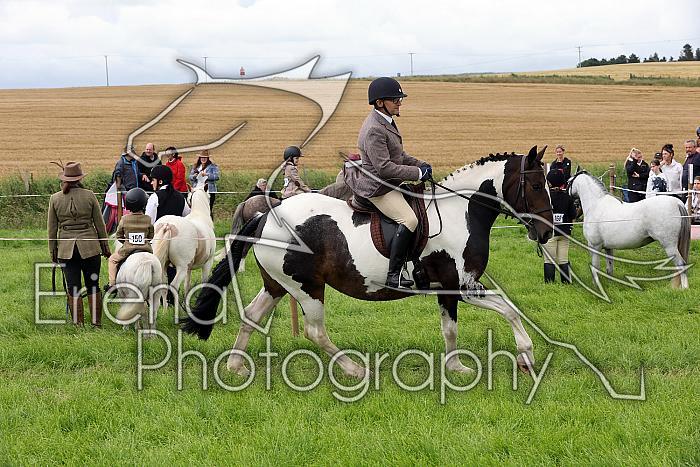 Carnwath2025Ring2205