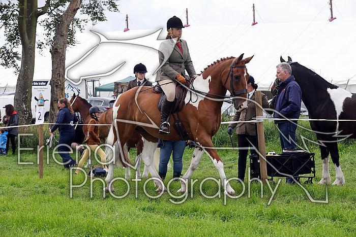 Carnwath2025Ring2220