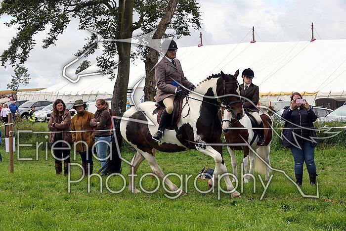 Carnwath2025Ring2238