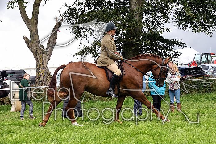 Carnwath2025Ring2266