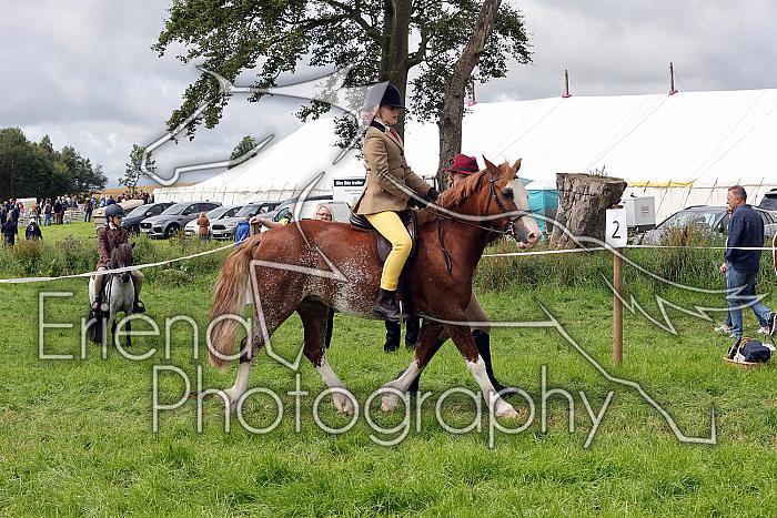 Carnwath2025Ring2279