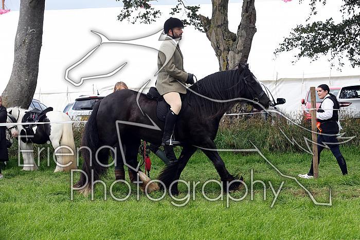 Carnwath2025Ring2315