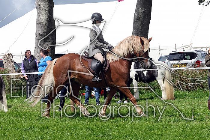 Carnwath2025Ring2319
