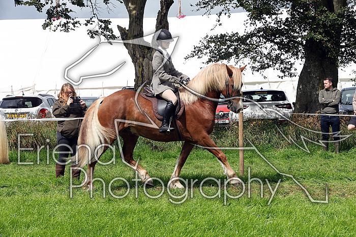 Carnwath2025Ring2321