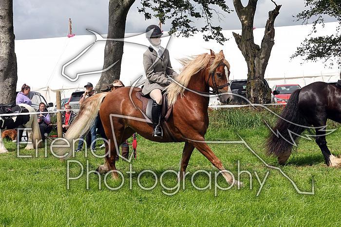 Carnwath2025Ring2327