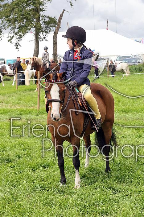 Carnwath2025Ring2342