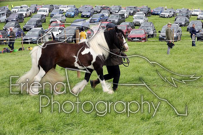 Carnwath2025Ring2349