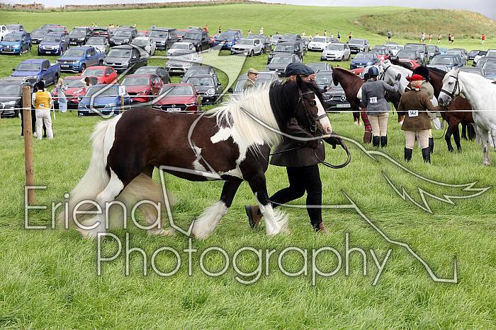 Carnwath2025Ring2350
