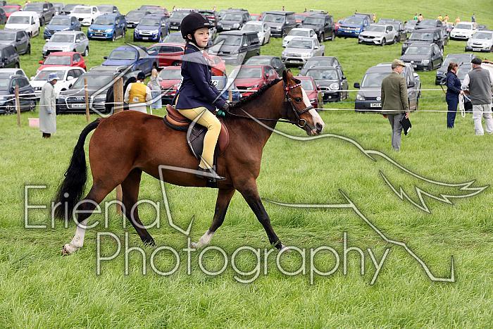 Carnwath2025Ring2352
