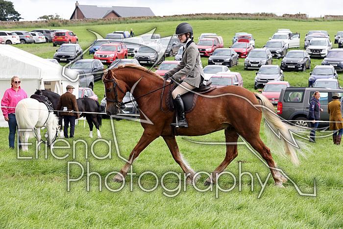 Carnwath2025Ring2370
