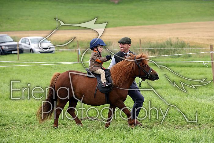 Carnwath2025Ring2461