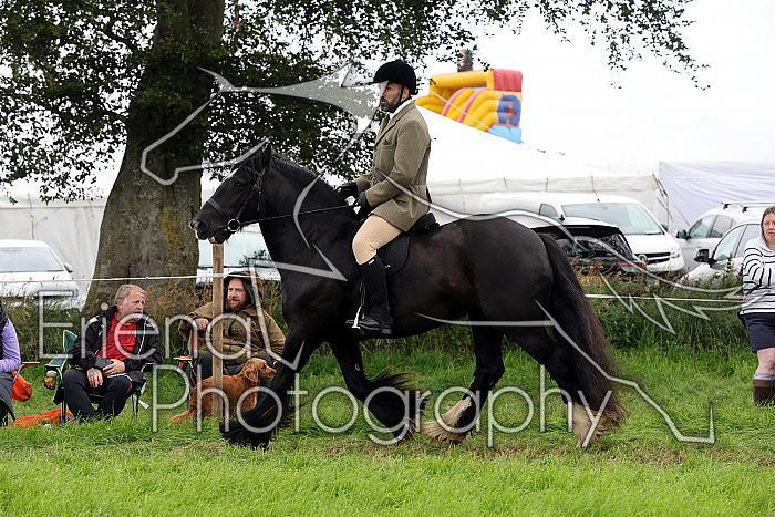 Carnwath2025Ring2471