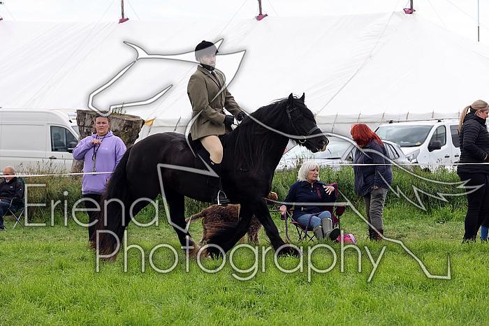 Carnwath2025Ring2475