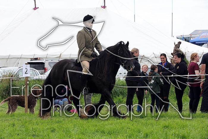 Carnwath2025Ring2476
