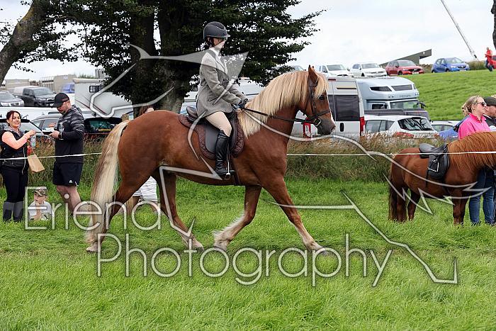 Carnwath2025Ring2479