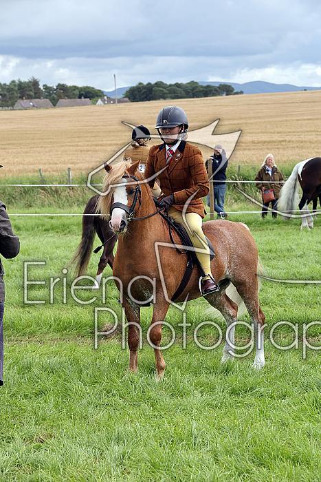 Carnwath2025Ring2485
