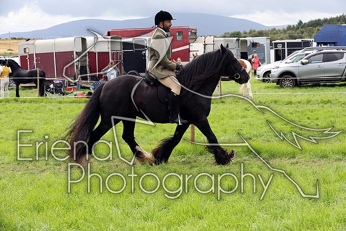 Carnwath2025Ring2489