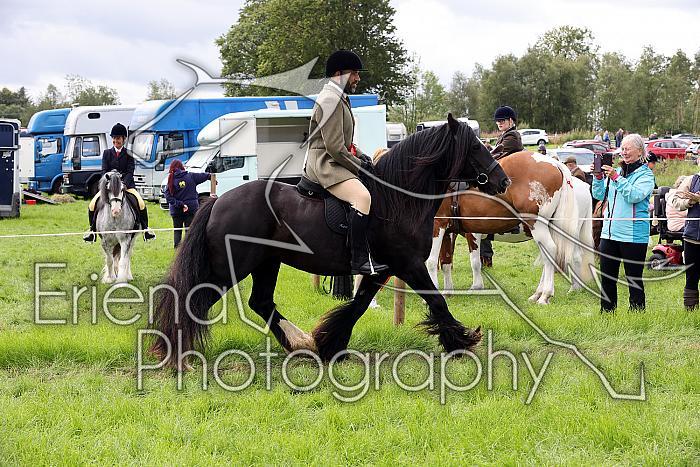 Carnwath2025Ring2491