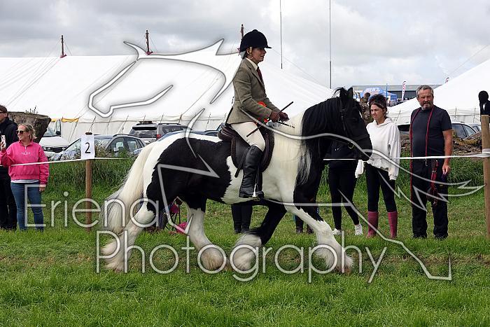 Carnwath2025Ring2502