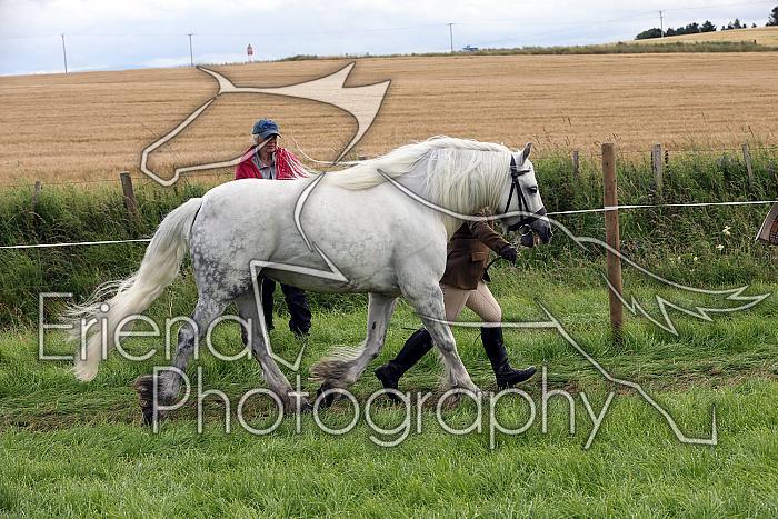 Carnwath2025Ring2519