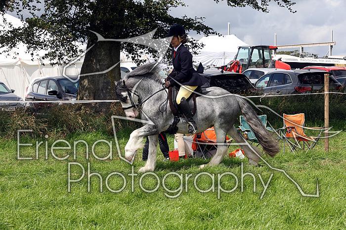 Carnwath2025Ring2547