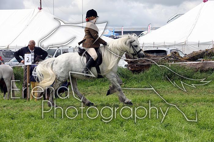 Carnwath2025Ring2553