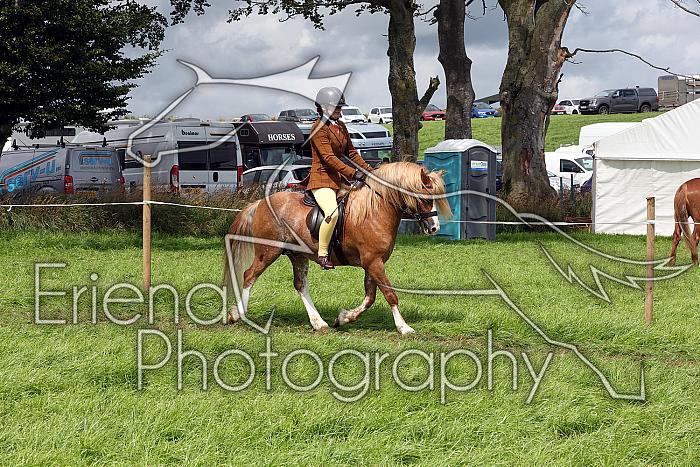 Carnwath2025Ring2554