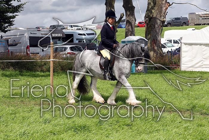 Carnwath2025Ring2556