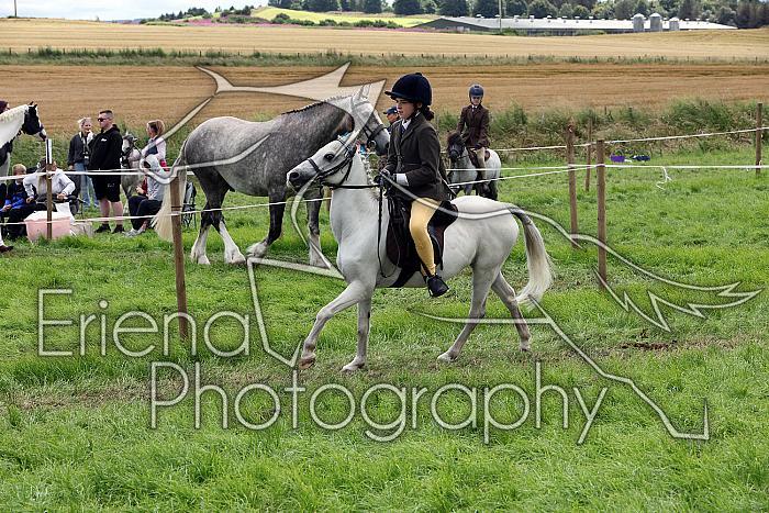 Carnwath2025Ring2569