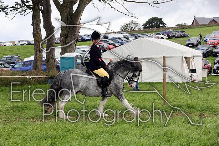 Carnwath2025Ring2582