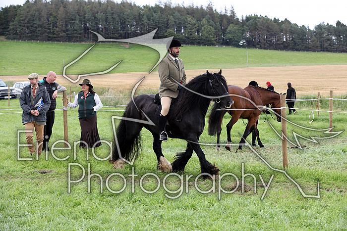Carnwath2025Ring2602