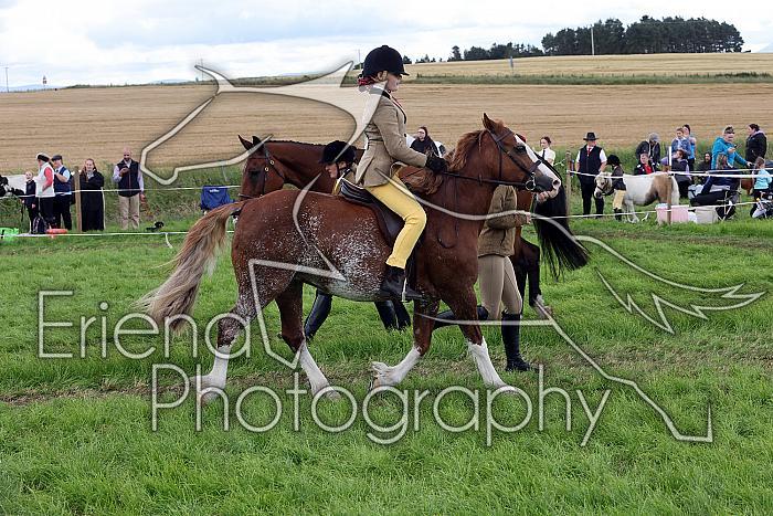 Carnwath2025Ring2627