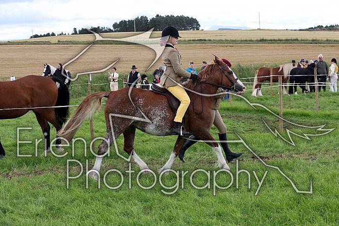 Carnwath2025Ring2628