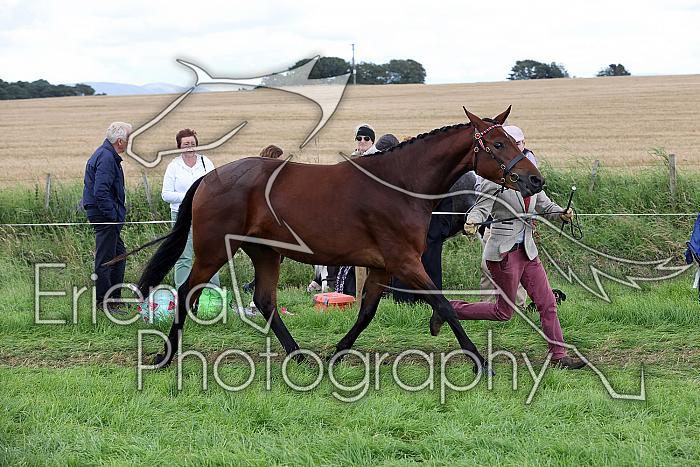Carnwath2025Ring2629