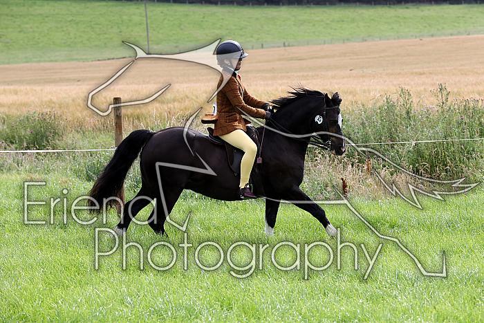 Carnwath2025Ring3003