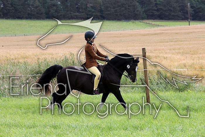 Carnwath2025Ring3004
