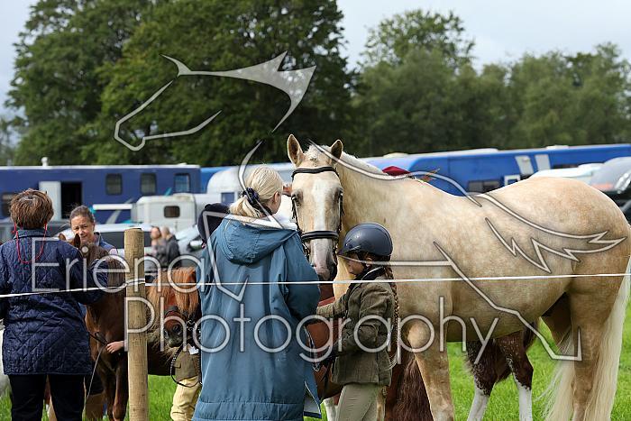 Carnwath2025Ring3009