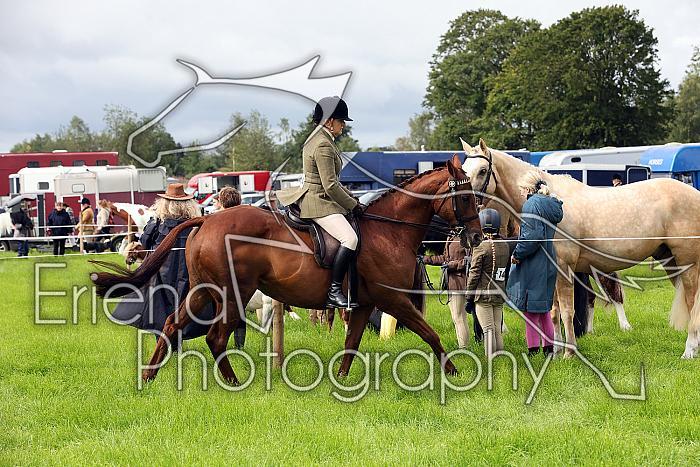 Carnwath2025Ring3013