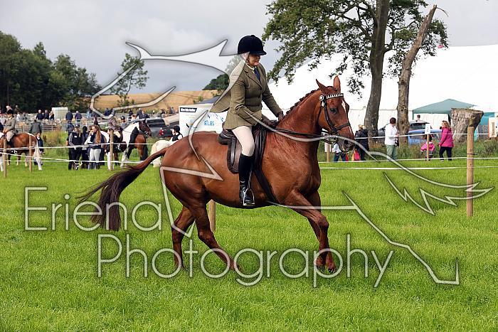 Carnwath2025Ring3017