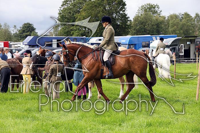 Carnwath2025Ring3019