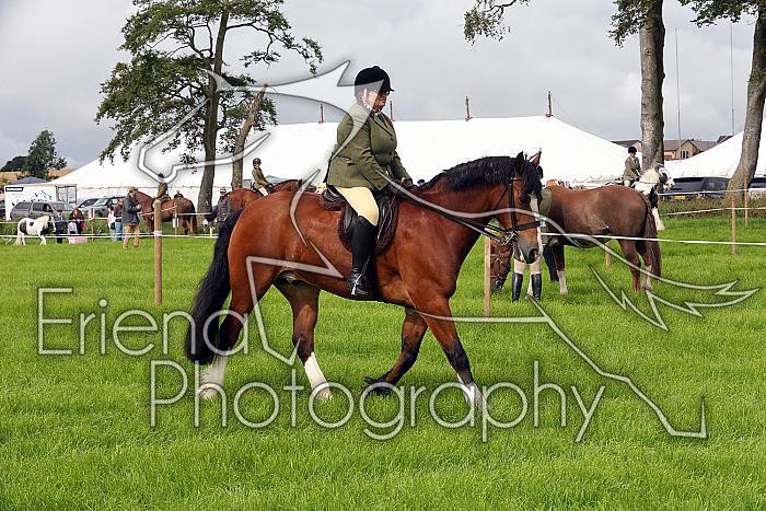 Carnwath2025Ring3022