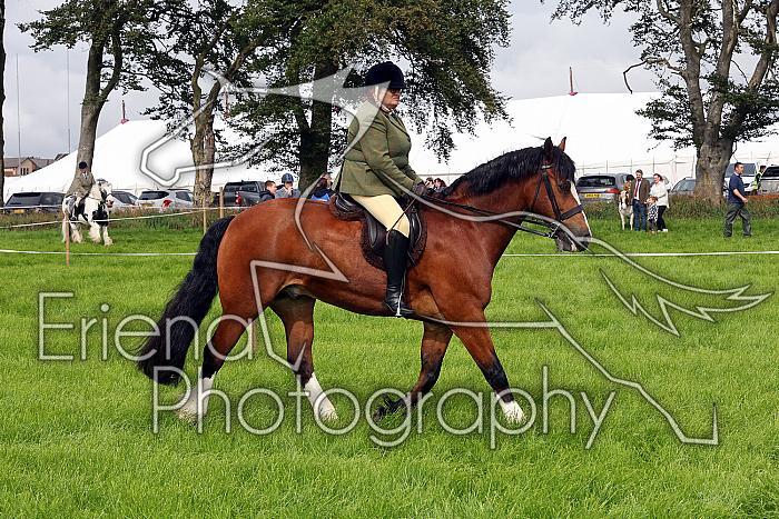 Carnwath2025Ring3024