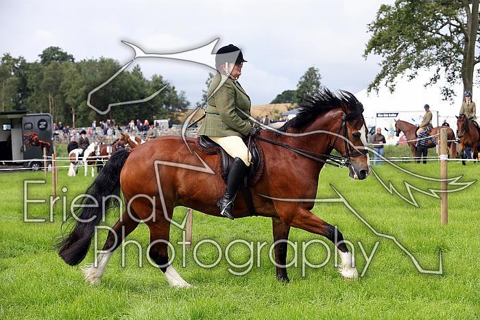 Carnwath2025Ring3029